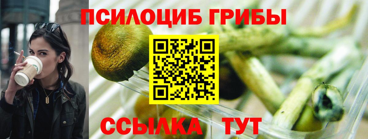 Псилоцибиновые грибы Magic Shrooms Назарово